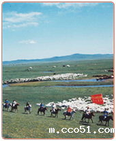 布小林：一首永远动听的草原牧歌