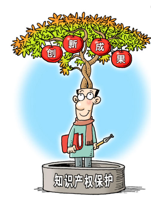 专家探讨如何为传统知识提供保护