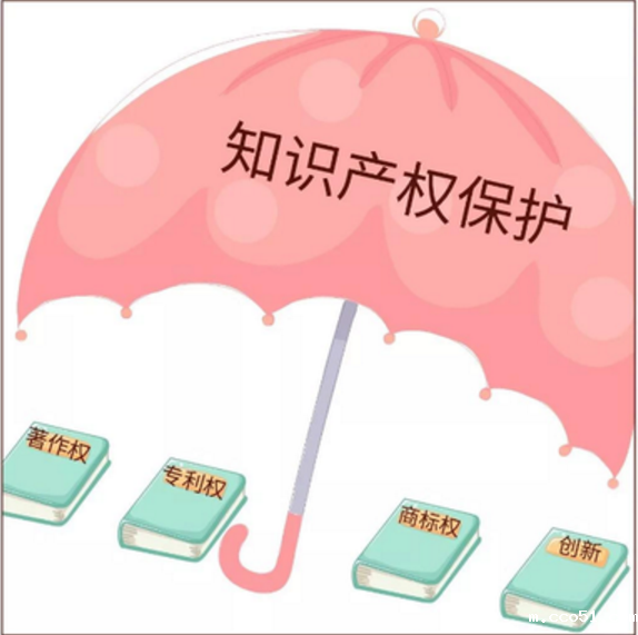  电视剧：台网融合释放版权活力